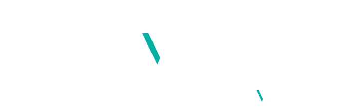 savvyaudits